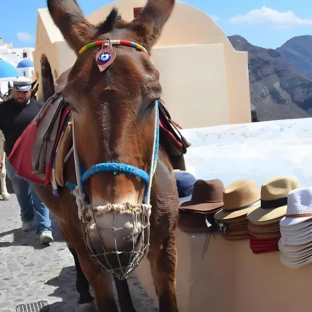 Santorini Pleasure Gasthuis 3*