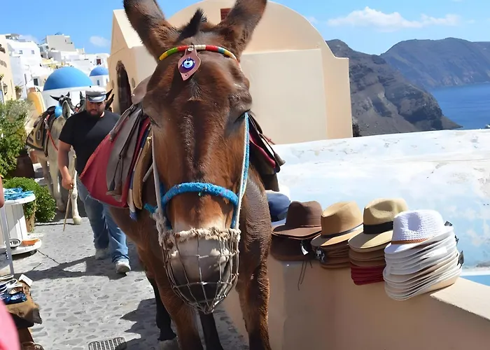 Santorini Pleasure Pensionat 3*